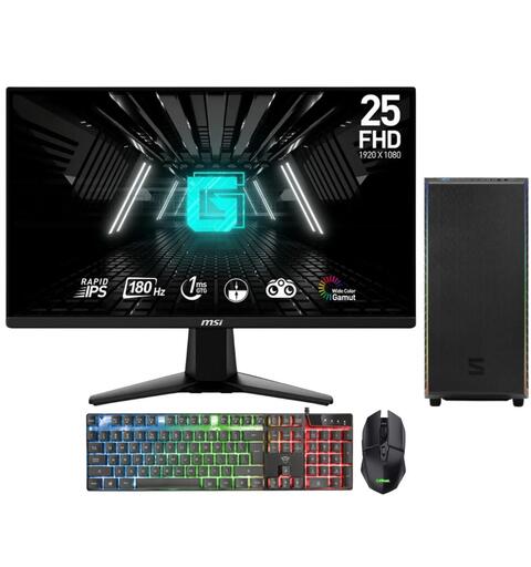 Gaming PC Starter Pack e-Sport Edition 25&quot;,RTX 3070, R7 5800X,8GB,500GB SSD,Win