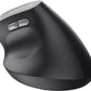 Trust TM-270 Ergonomisk Trådløs Mus