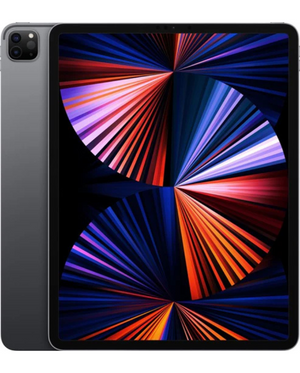 iPad Pro 12.9" (2021) 128GB Stellargrå