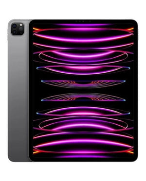 iPad Pro 12.9" (2022) 256GB Stellargrå