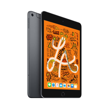 iPad Mini 5 64GB Stellargrå
