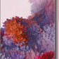 Samsung Galaxy S20 5G 128GB
