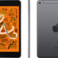iPad Mini 5 64GB Stellargrå