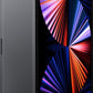 iPad Pro 12.9" (2021) 128GB Stellargrå