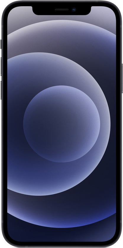 iPhone 12 256GB
