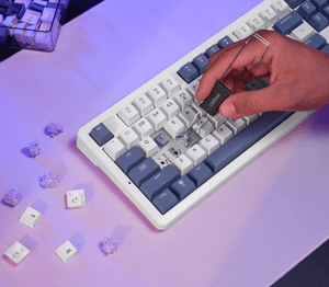 Trust GXT 872 Xyra TKL mekanisk gamingtastatur